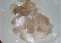 油炸虾片和虾团的做法 步骤1