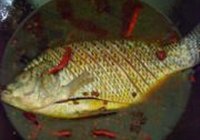 蒜香烧鲷鱼的做法 步骤6