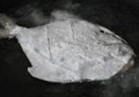 奇异菠萝海鲳鱼的做法 步骤3