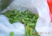 干煸四季豆的做法 步骤2
