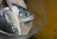金汤豆腐鱼煲的做法 步骤9