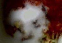 蔬菜火锅的做法 步骤7