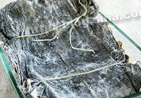 凉拌海带丝的做法 步骤1