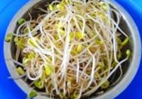 炒合菜的做法 步骤2