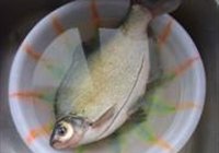 家常红烧鳊鱼的做法 步骤2