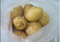 沈阳小土豆的做法 步骤1