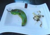 烤尖椒的做法 步骤6