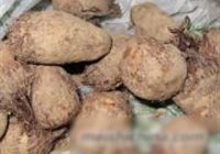 香煎毛芋泥的做法 步骤1