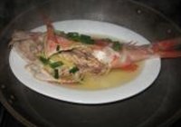 清蒸红鲷鱼的做法 步骤5