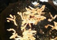 甜椒肉丝的做法 步骤4
