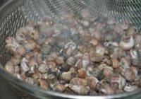 爆炒小螺的做法 步骤7