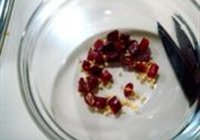 香炒寸筋骨的做法 步骤9