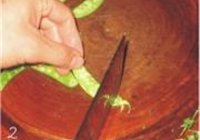 荷兰豆炒八爪鱼的做法 步骤2
