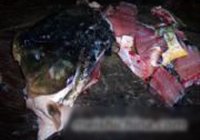 飘香水煮鱼的做法 步骤8