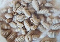 炒麻食的做法 步骤5