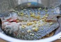 香辣烤鲫鱼的做法 步骤2