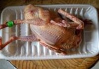 油皇乳鸽的做法 步骤1