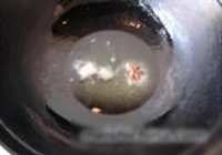 烀雪里蕻的做法 步骤5