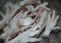 红烧鸡脚的做法 步骤1