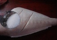 孜然烤鱼的做法 步骤3