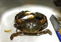 避风塘炒蟹的做法 步骤2