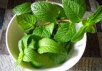 薄荷金笋牛腱的做法 步骤3