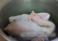 白切鸡的做法 步骤2