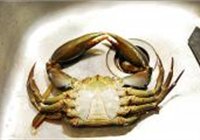 避风塘炒蟹的做法 步骤1