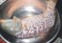 糖醋鲤鱼的做法 步骤1