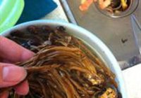 茶树菇烧鸡的做法 步骤2