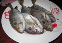 黄豆酱焖泥猛鱼的做法 步骤1