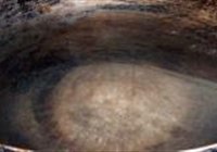 鲜蘑肉片的做法 步骤5