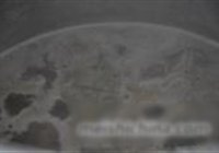 梨子烧鹿肉的做法 步骤4