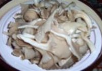 鲜蘑肉片的做法 步骤2