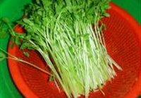 豆苗炒虾片的做法 步骤2