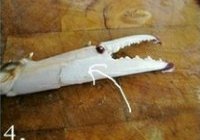 酱汁螃蟹的做法 步骤4