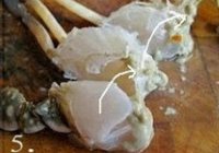 酱汁螃蟹的做法 步骤5