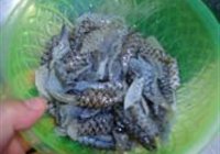 葱烧鱼皮的做法 步骤5