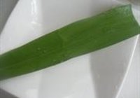 Բӵ 6