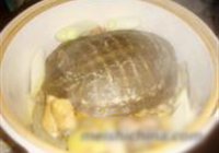 清炖甲鱼的做法 步骤6