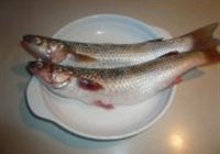 清蒸梭鱼的做法 步骤1