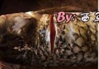 美味酸菜鱼的做法 步骤3