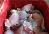 美味酸菜鱼的做法 步骤8