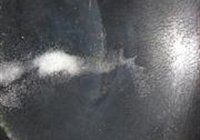 ز罷 4