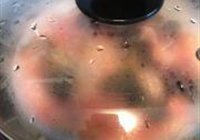 冬菇蒸滑鸡的做法 步骤6