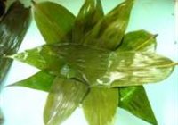 粽香糯米排骨的做法 步骤5