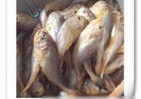 炸小鲫头鱼的做法 步骤1