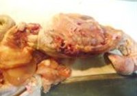 豉椒香辣仔鸡的做法 步骤9