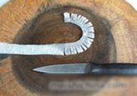 白菊斗艳的做法 步骤7