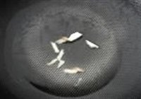 花肉洋葱土豆片的做法 步骤5